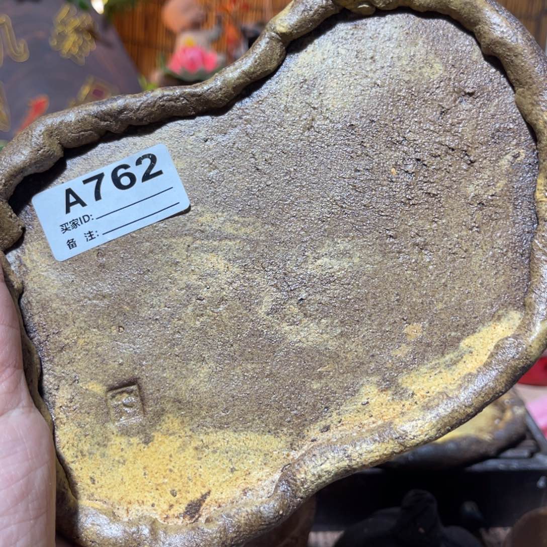 木村信弘柴烧保平