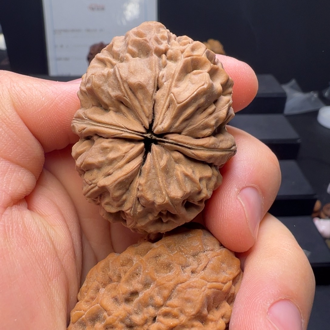 文玩核桃吊坠高桩龙纹蟾44mm