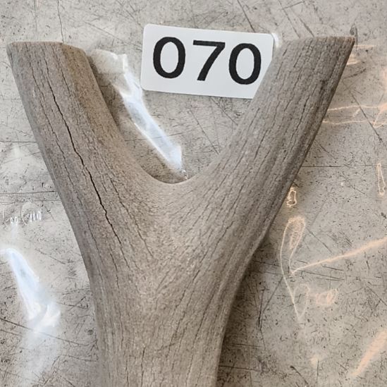 曾***我鹿角鹿角鹿角鹿角鹿角鹿角