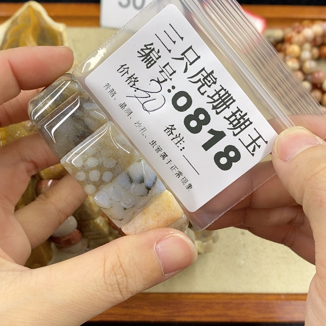 硅化珊瑚（珊瑚玉）1未镶嵌与**邻