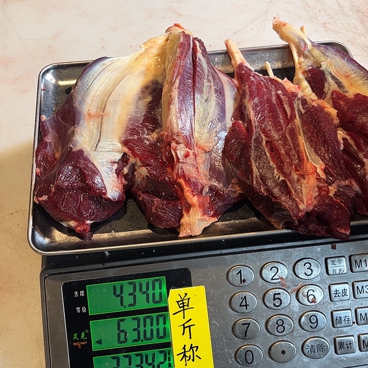 ****️18中国大陆这大概好久