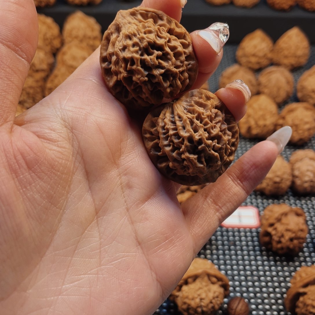 二*~秦岭玩额也得体