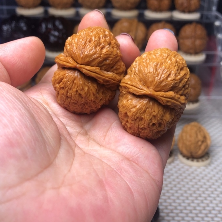 文玩核桃把件18食蚁兽