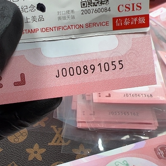 J000891055单张简易封装蛇
