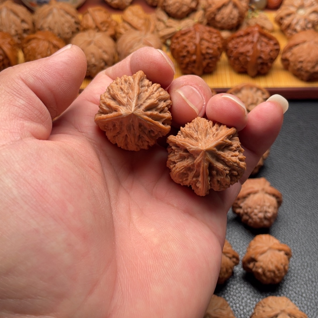 核桃三棱正奔手捻