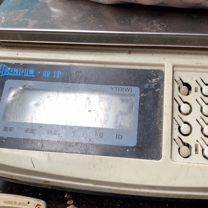 吊坠橄榄核观*打包