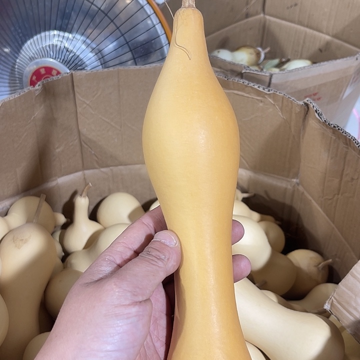 金*啊啊啊啊啊啊