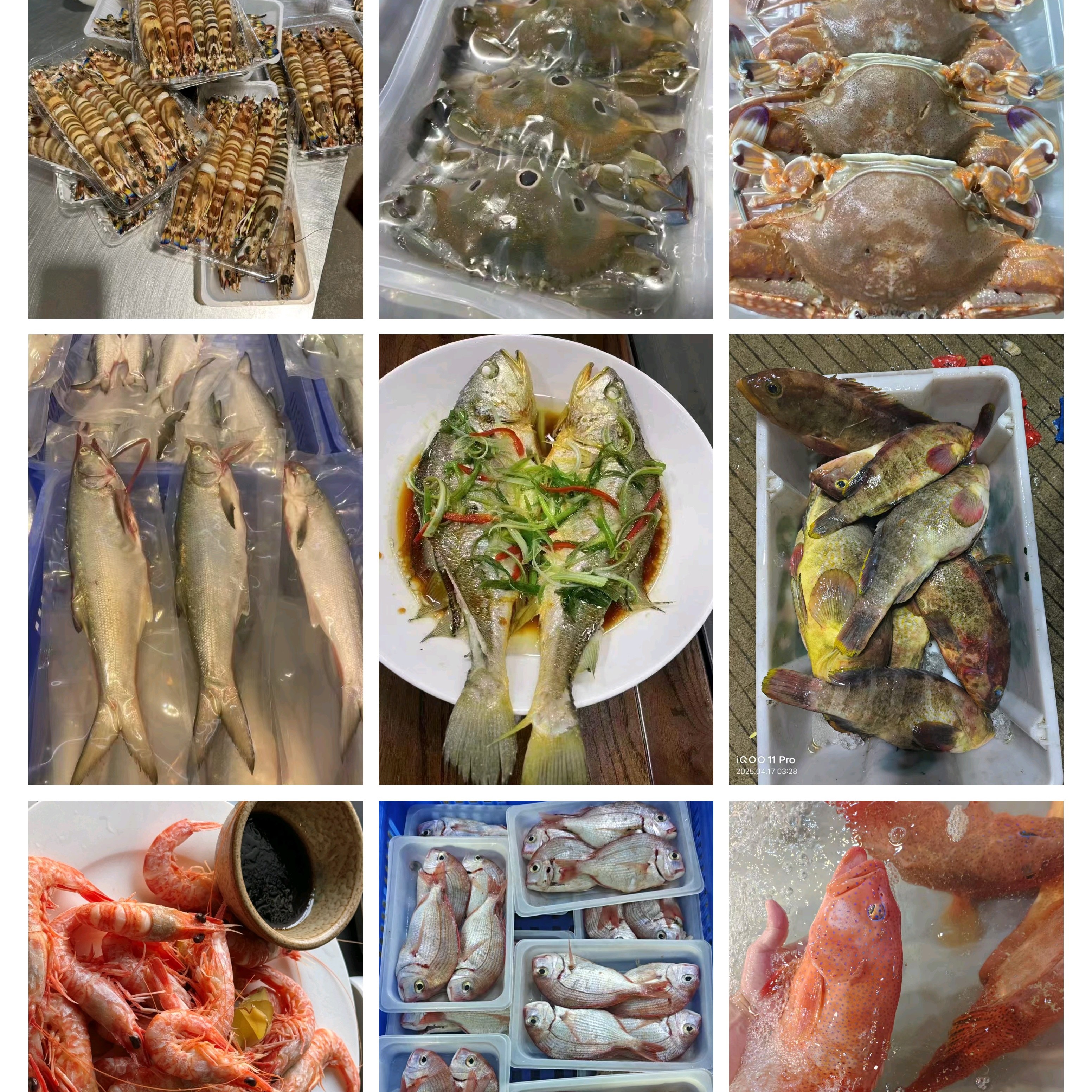 海鲜套餐现配广东神前本港海鲜