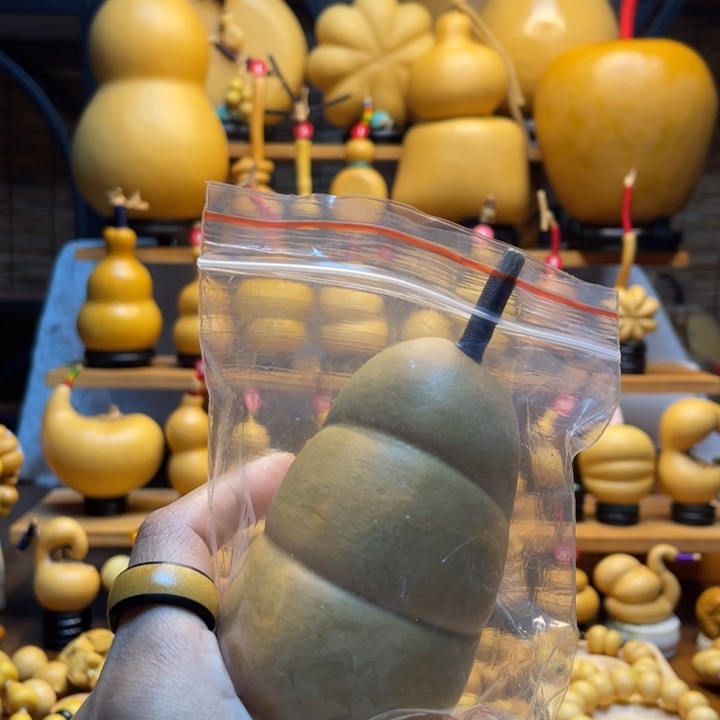 ᵗ****天然葫芦自然生长