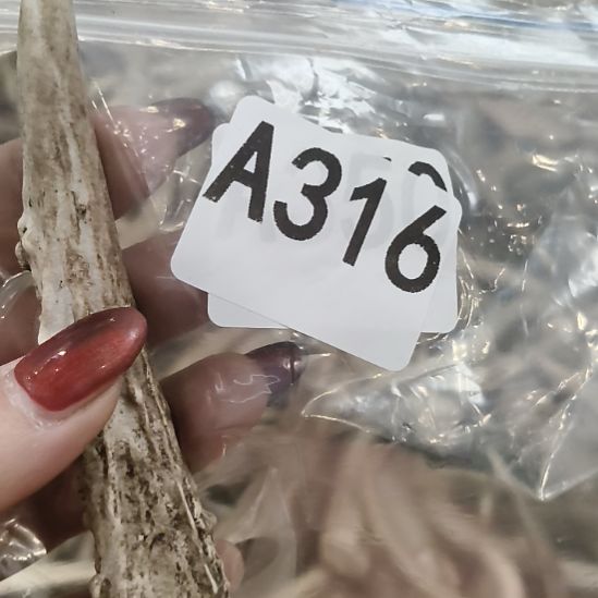 沙***漠鹿角鹿角鹿角鹿角鹿角