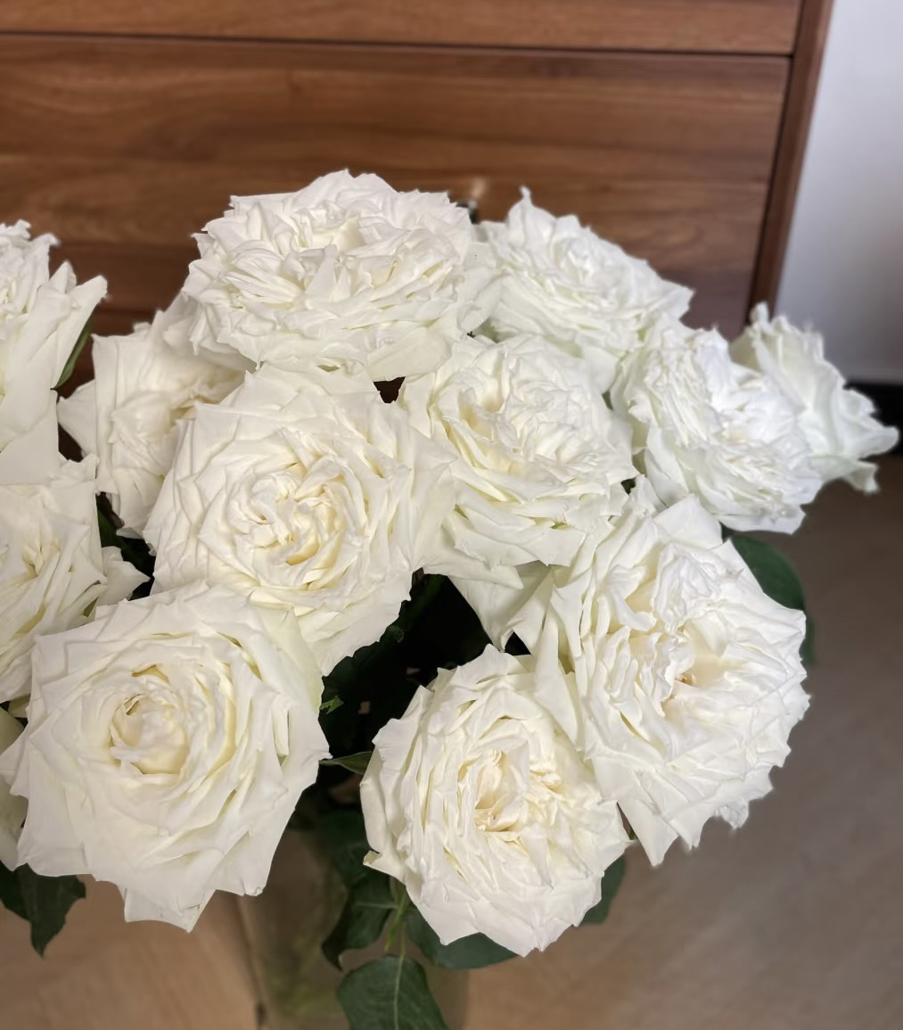 【坦尼克】花农直发，全场任意两单顺丰冷链包邮，0度以下必拍保温棉！