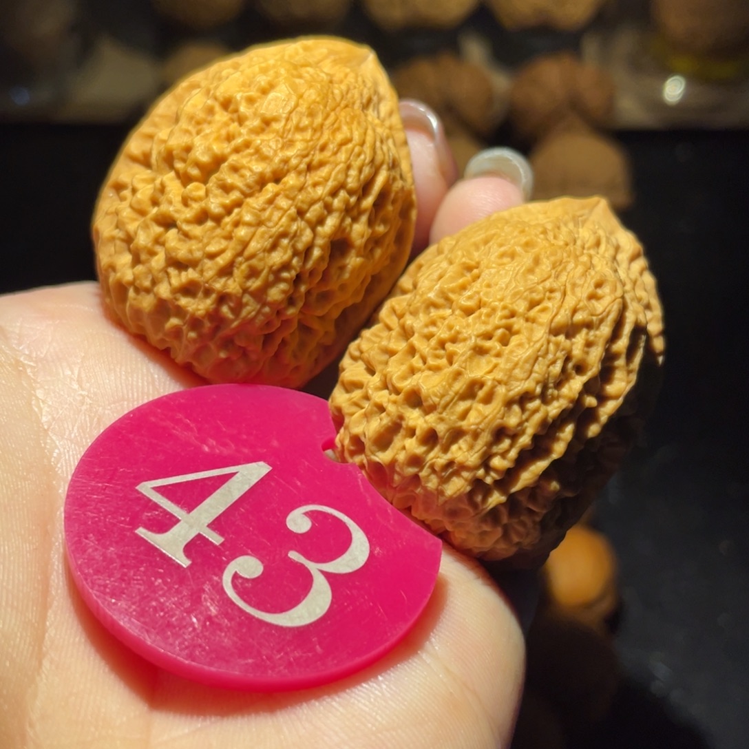 铁南疆35尺寸核桃