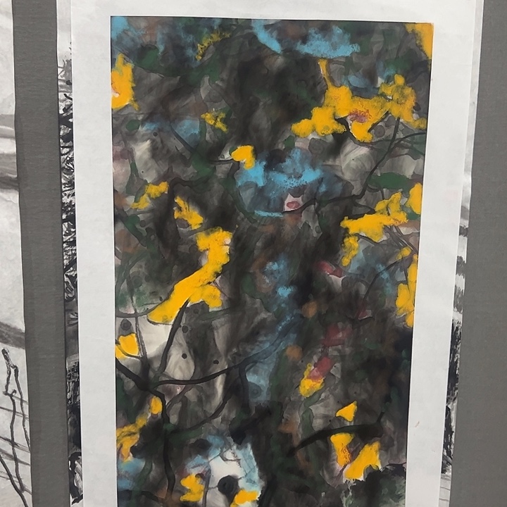 以***下国画姚瑞江老师花鸟画作品