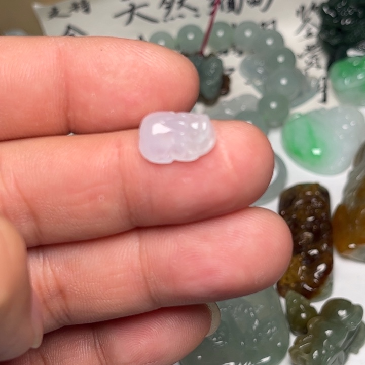 彤***彤翡翠未镶嵌颈饰貔貅
