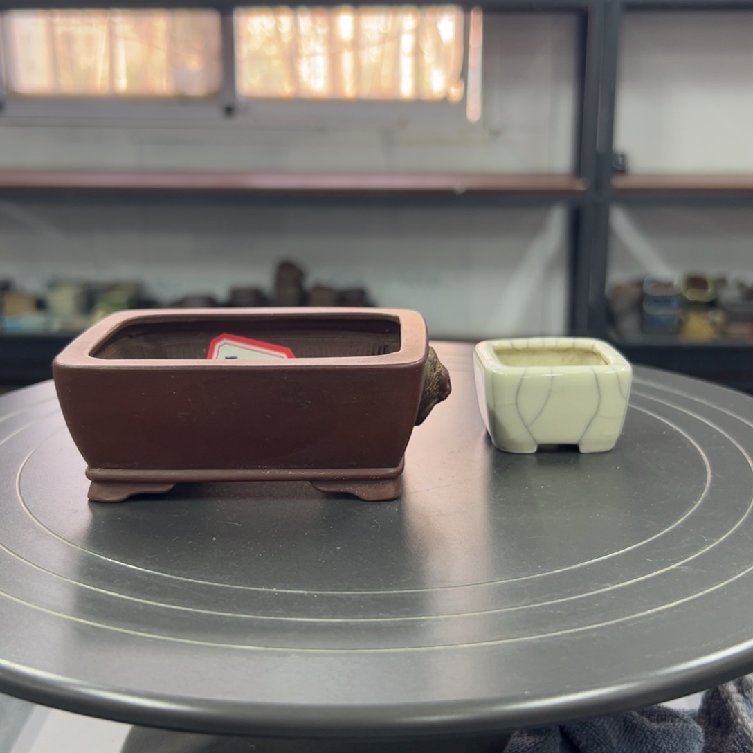 红陶红红火火过大年