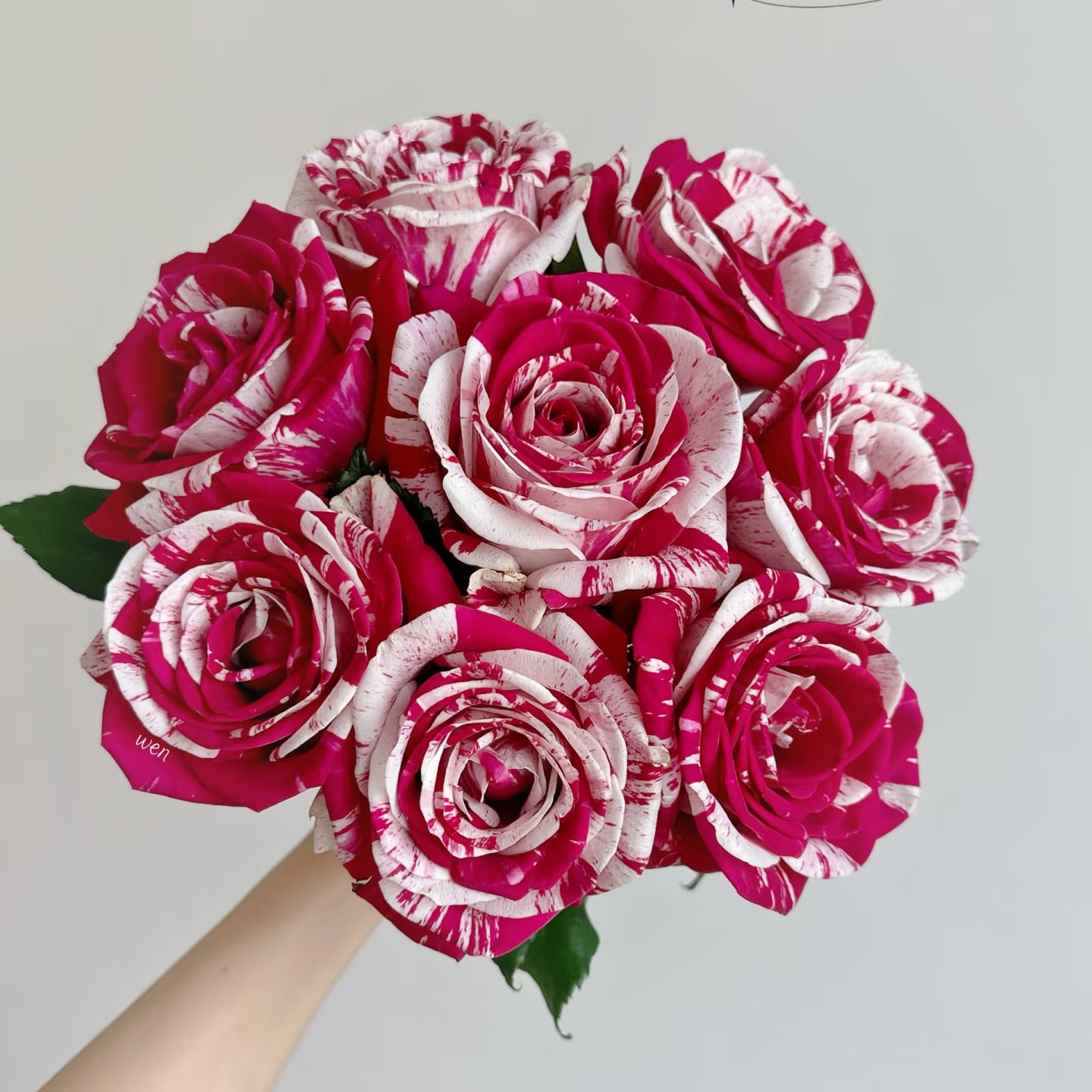 【香羿鲜花】水瓶座玫瑰/全场任意两单顺丰包邮