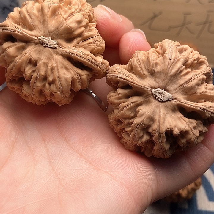 文玩核桃吊坠程*全45粗筋
