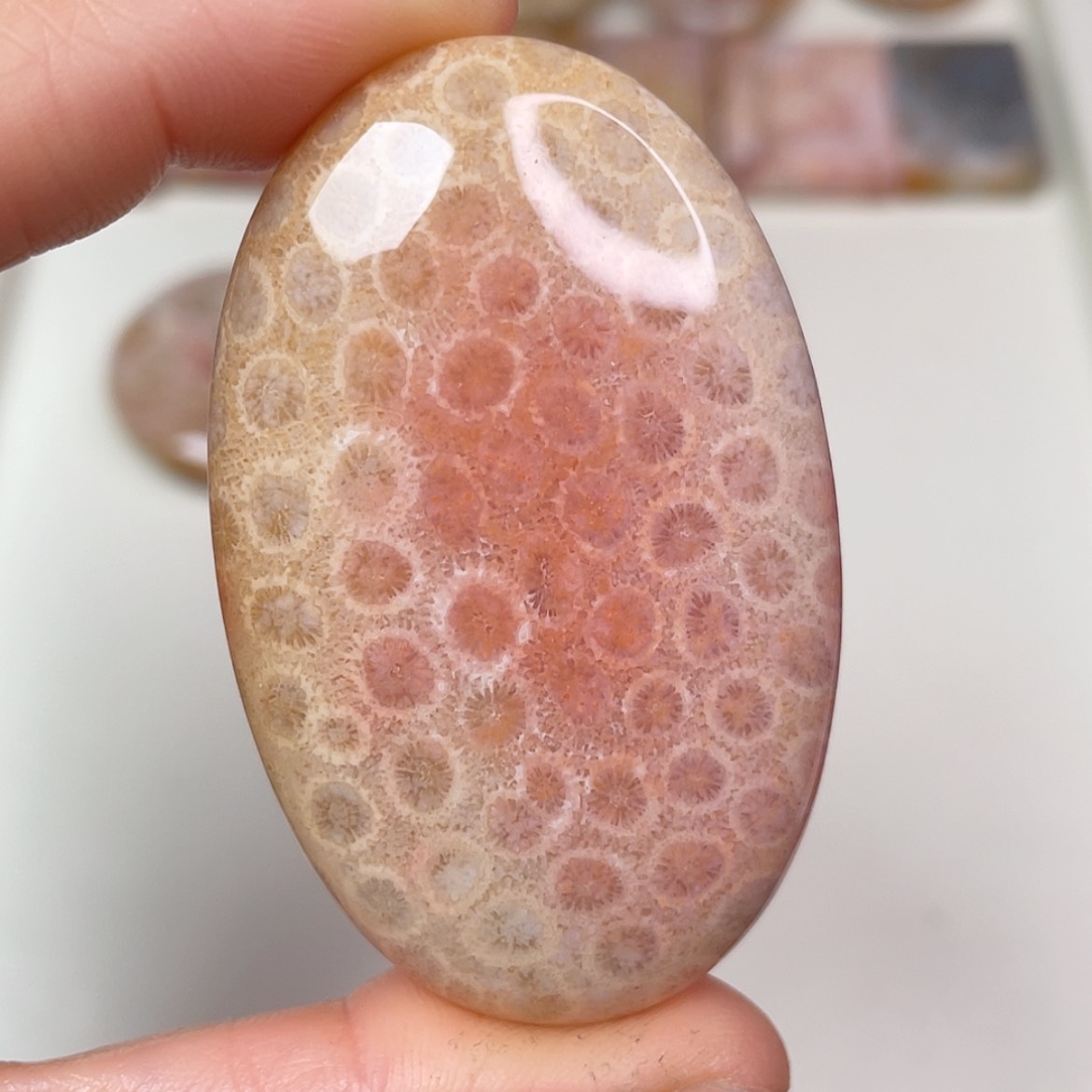 【闪购商品】未镶嵌吊坠(赠链)硅化玉