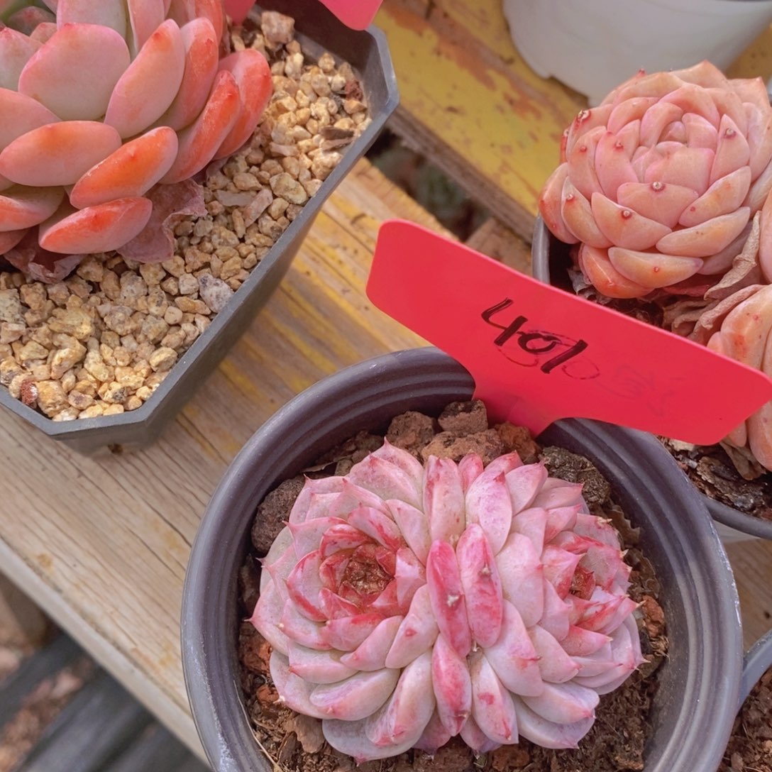 周末愉快，一单包邮