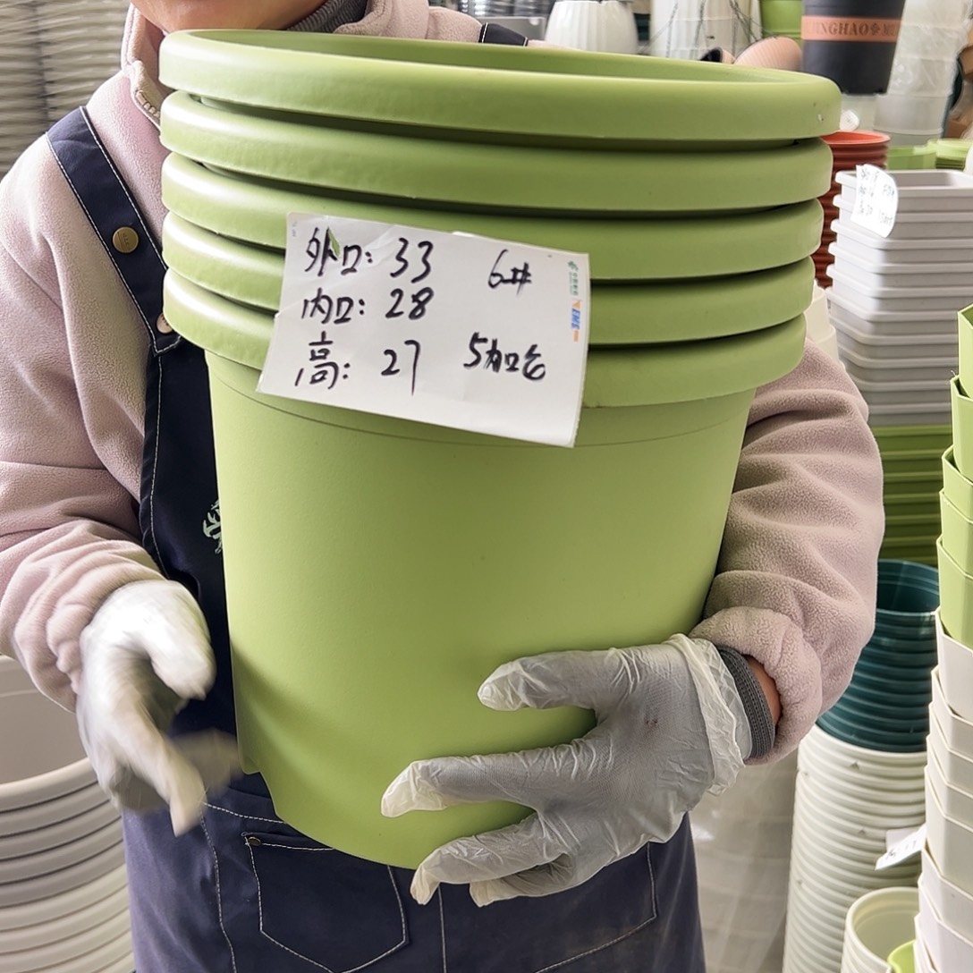 四季盆6#果绿色5个无托