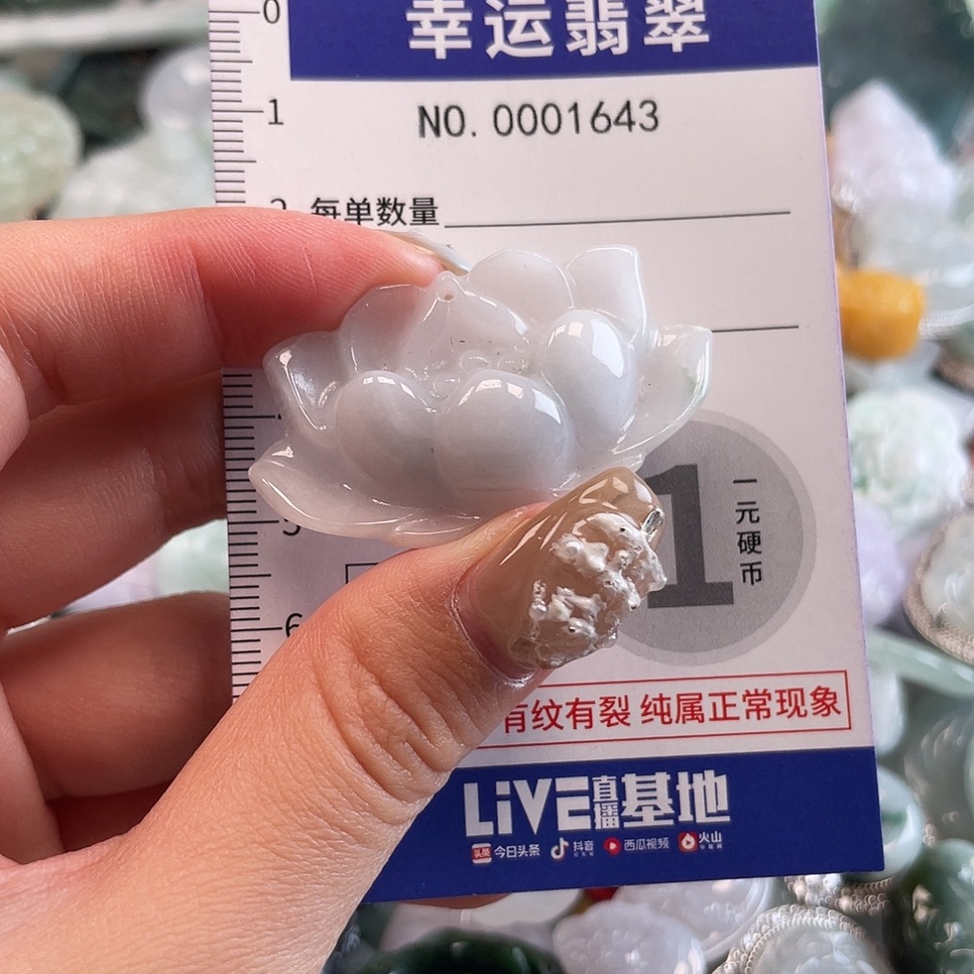 翡翠未镶嵌颈饰1643