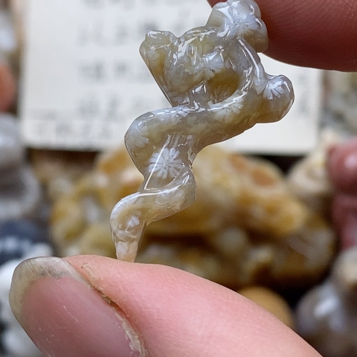 颈饰未镶嵌硅化珊瑚（珊瑚玉）小