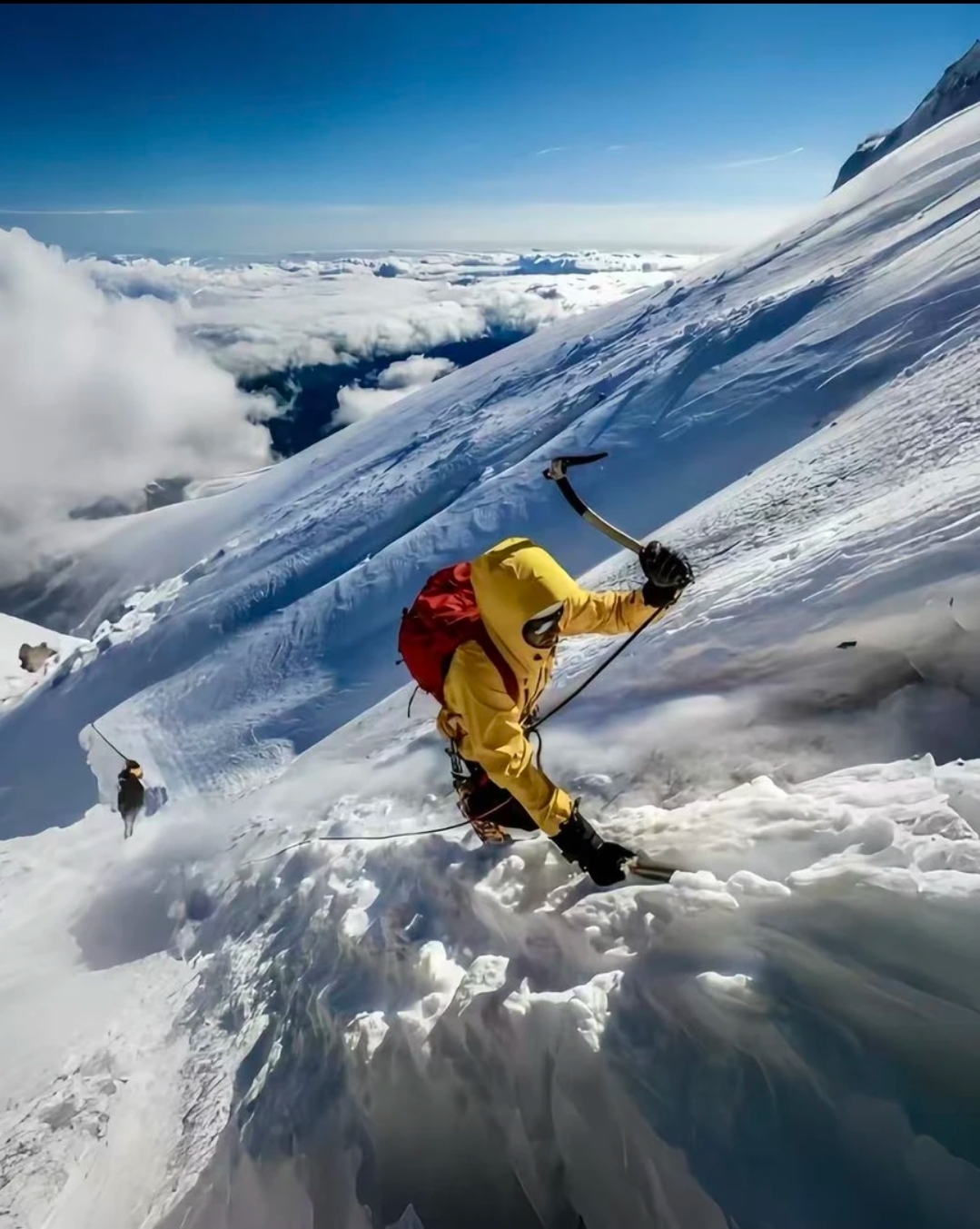男女通用拒水抗风骑行外套防寒保暖连帽羽绒外套