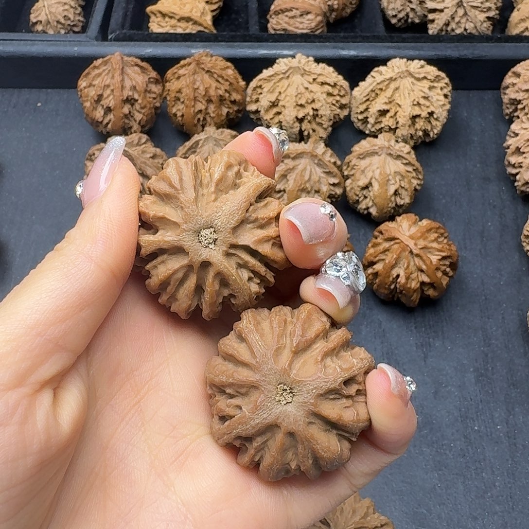 用***3桃木突突突突突突突突