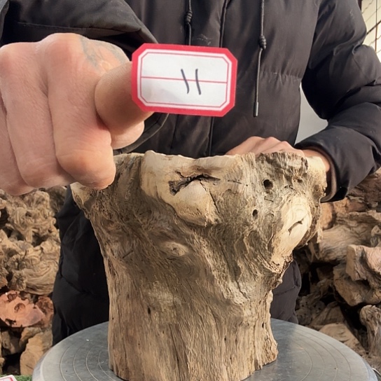 华**苑紫砂噜啦啦啦啦啦啦