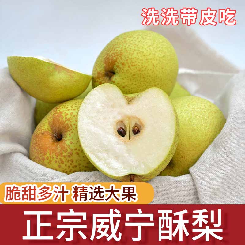 正宗威宁酥梨新鲜应季水果香甜多汁脆梨子带皮新鲜采摘果园直发