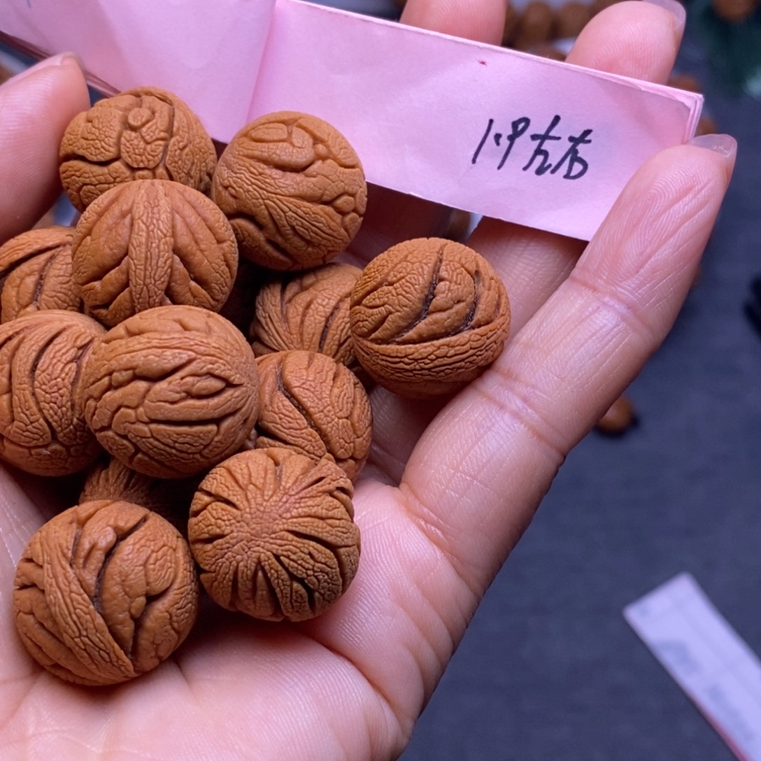 秦岭龙纹桃核14颗