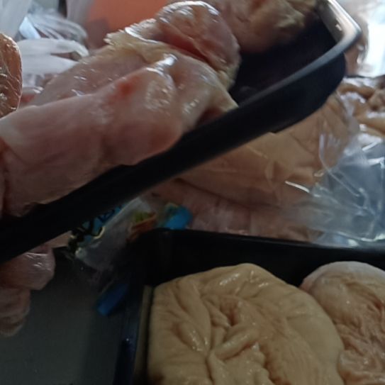 6个月中国大陆猪肚1个