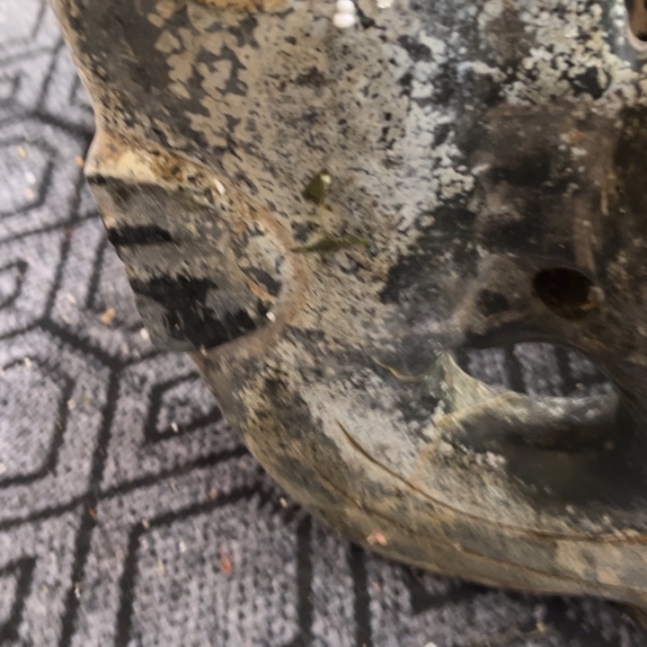 瓷片瓷器紫砂壶瓷器