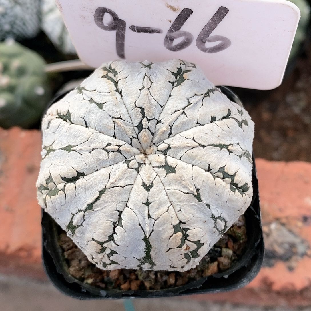 福利待遇也不错的呢哈不错