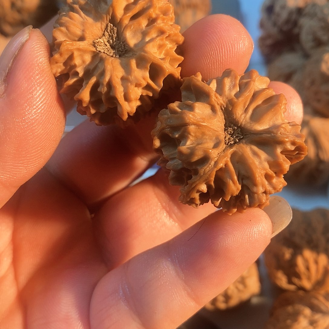 文玩核桃吊坠孟*核桃