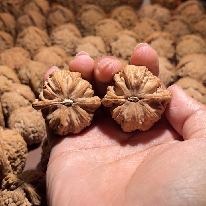 核桃手串/手链文白狮子39尺寸