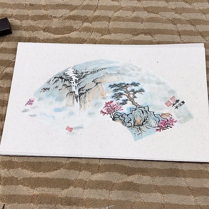 国画花鸟的翅膀和50.30