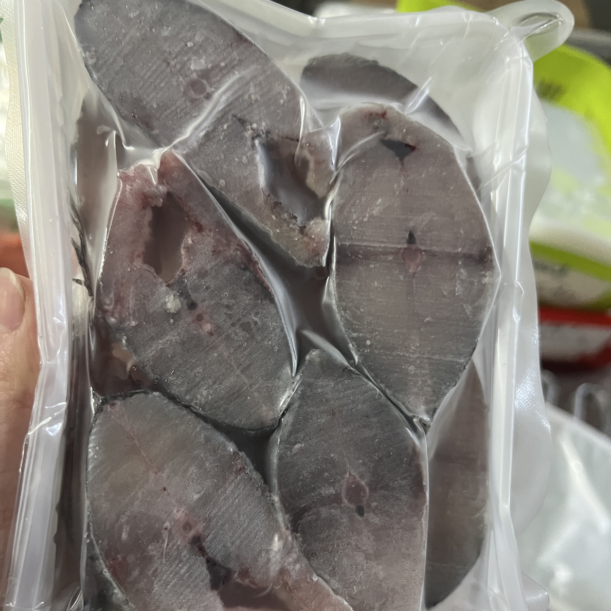 南澳本港野生白腹马鲛 斑点马鲛正马鲛 肉嫩鲜香