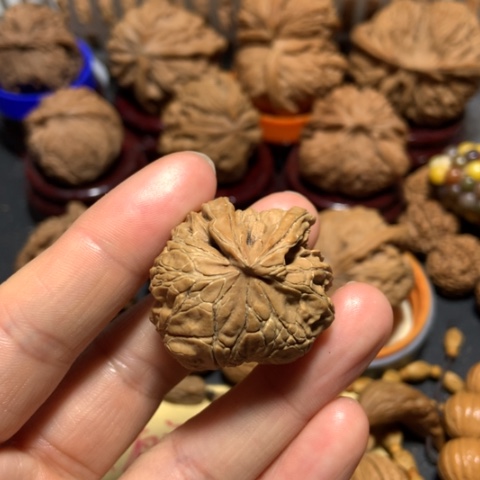 核桃ও****地小异形单只一个