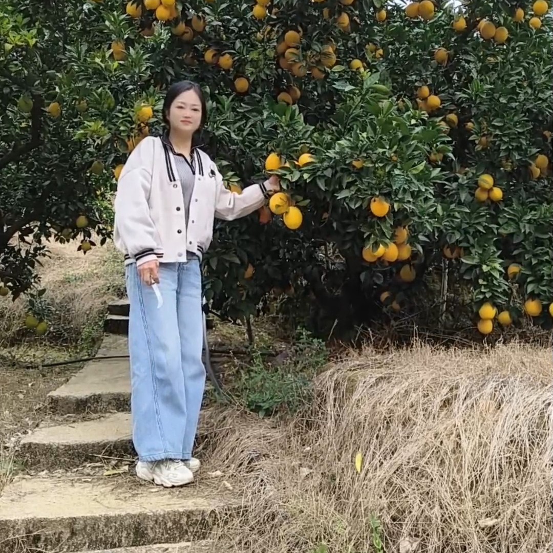 江西赣南脐橙现摘现发10斤带箱9分甜脐橙精品果(果径80-85)