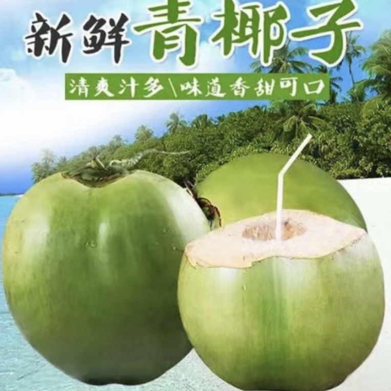 【大果】海南新鲜青皮带皮椰青单果4/6斤纯天然孕妇水果清甜1个装