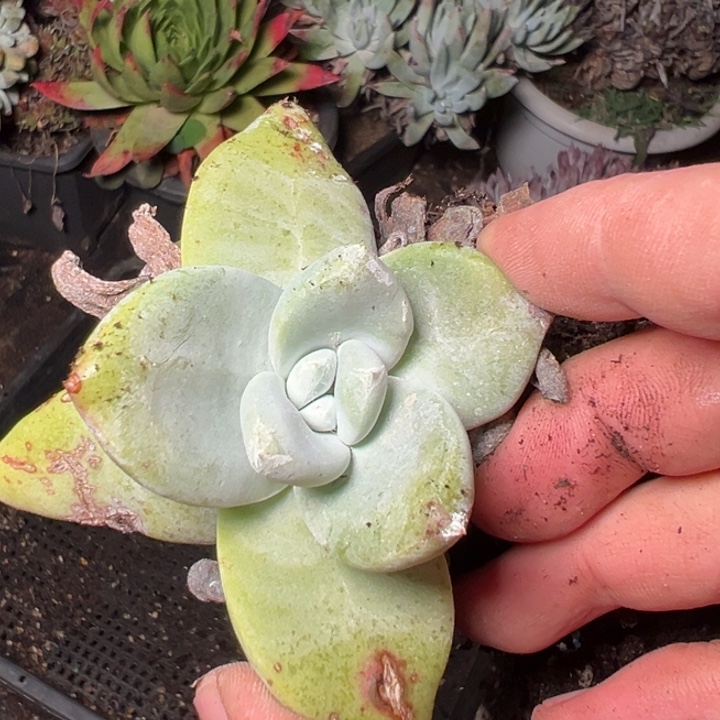 874哈哈哈哈哈哈哈哈