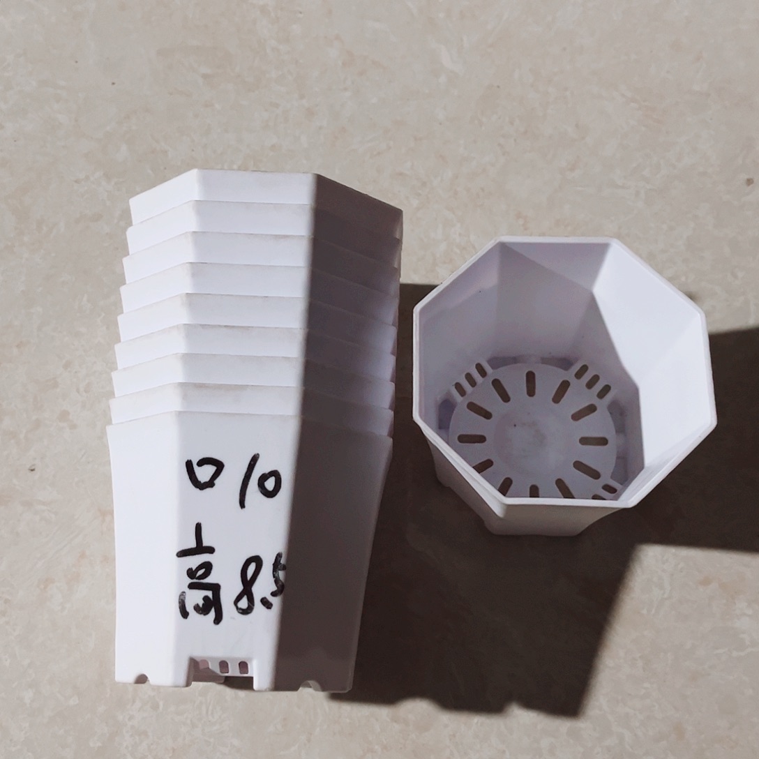 塑料加厚口10八角白色盆10个无托