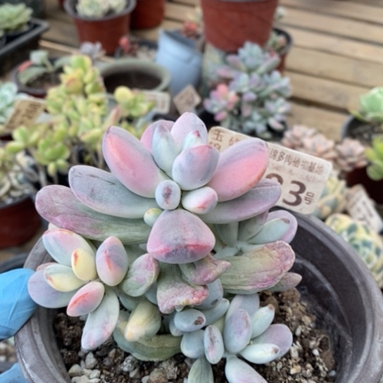 183一一一一一一