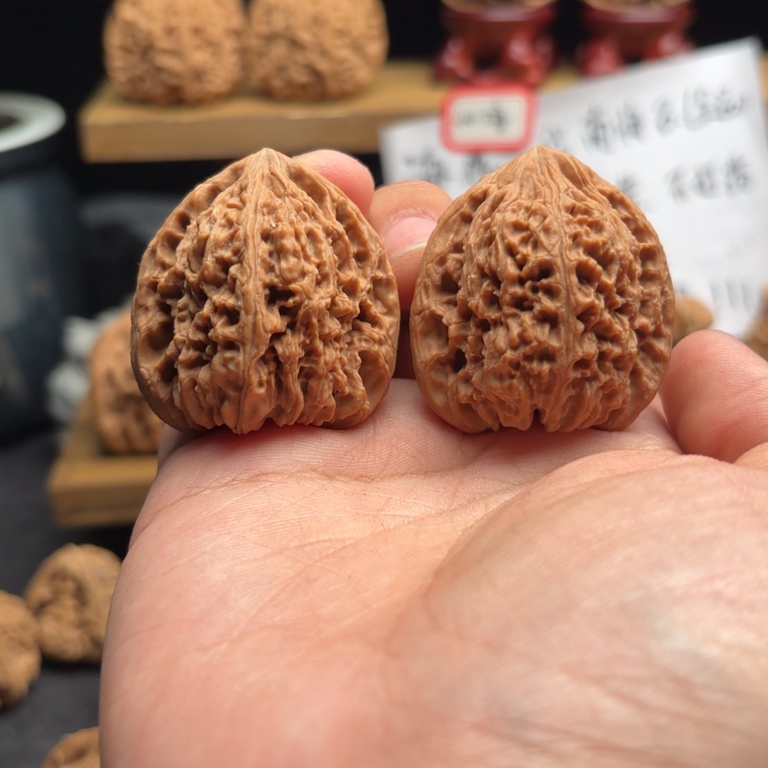 H***生核桃涿鹿南疆一代