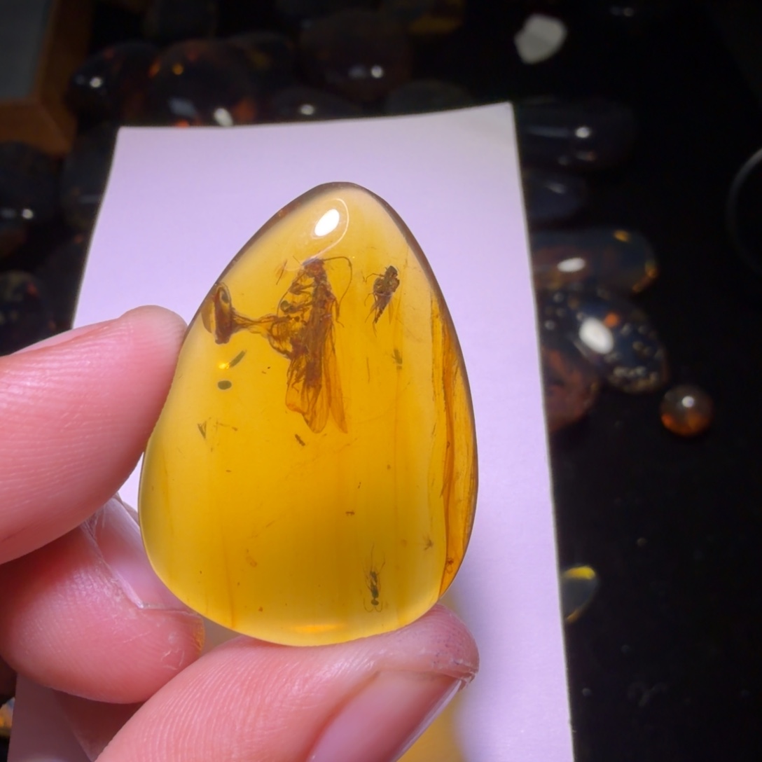 随***侧琥珀未镶嵌裸石不打孔