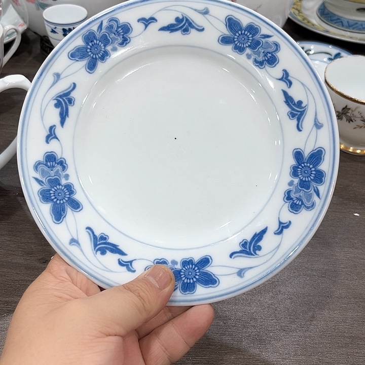 釉下五彩的瓷器和瓷器