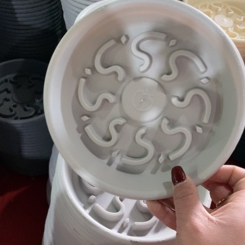 树脂烟****蓉托180灰白13个