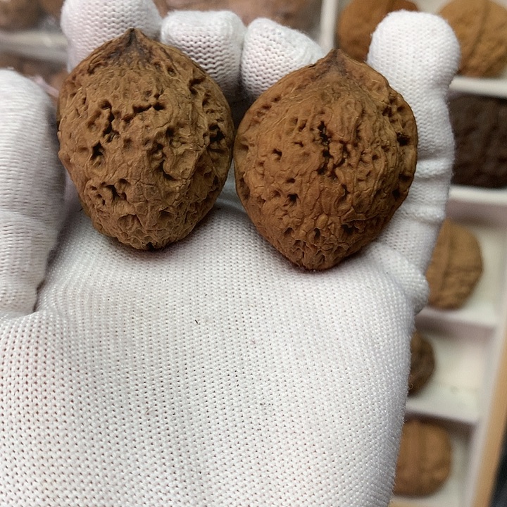 核桃37尺草莓铁核桃3号