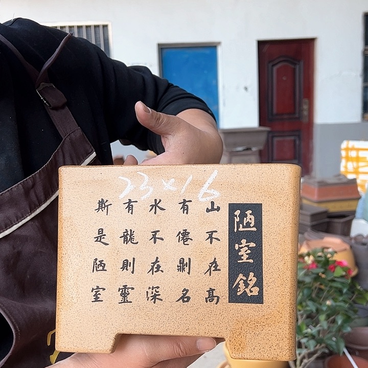 紫砂花盆不好意思哈哈哈我也